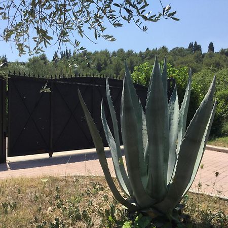 Villa Pax Maris Klek Exteriör bild