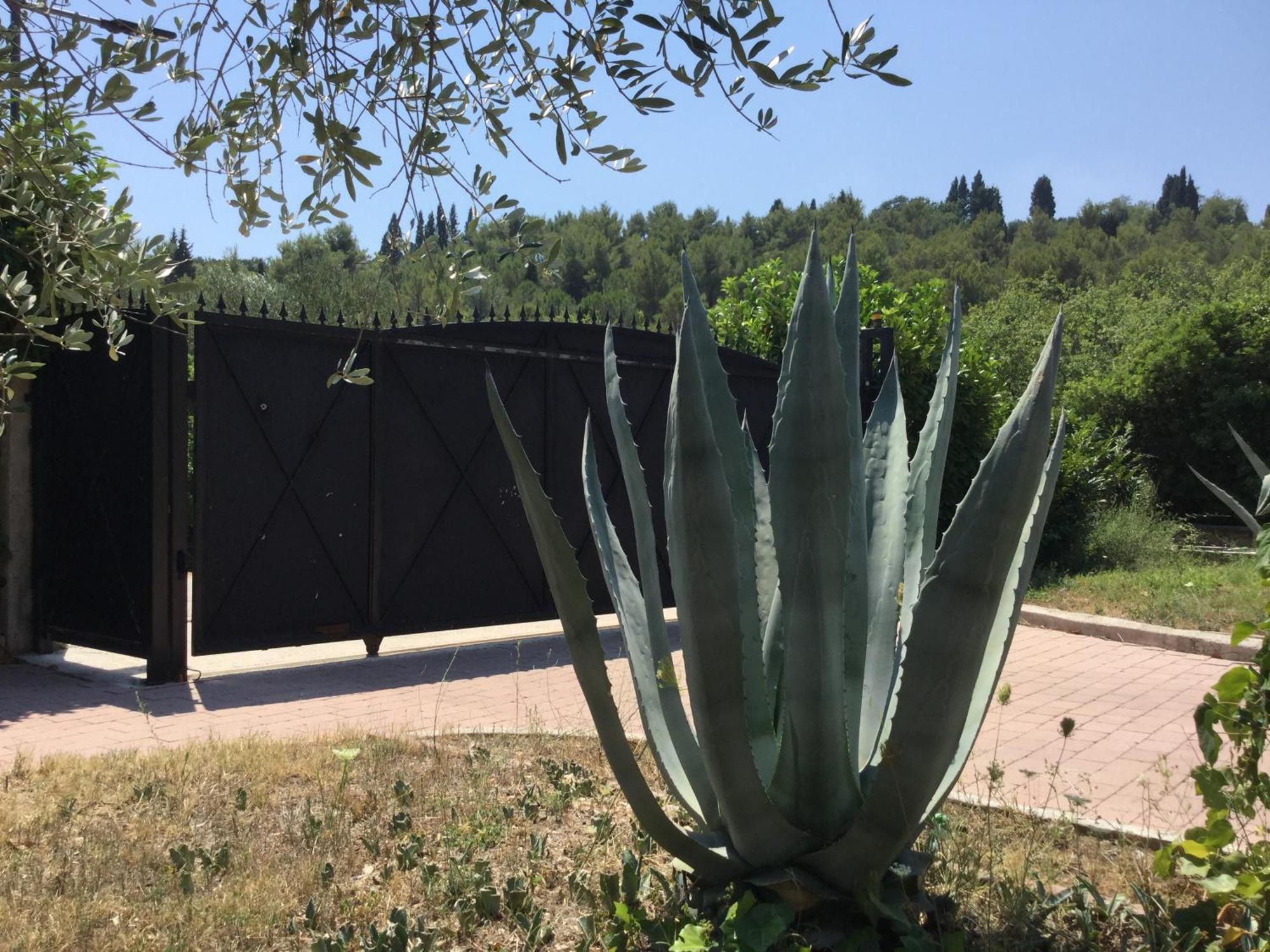 Villa Pax Maris Klek Exteriör bild
